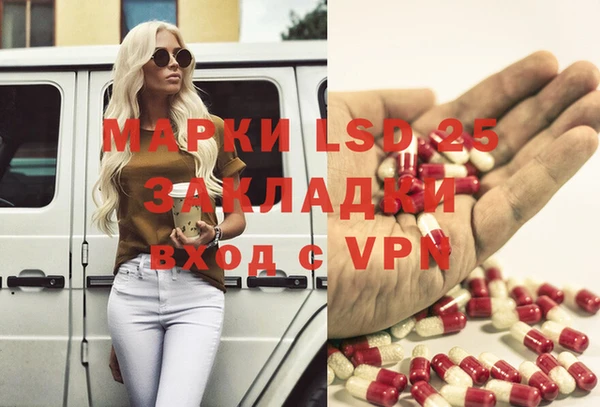 спиды Алзамай