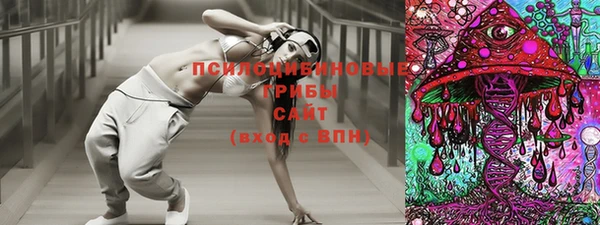 спиды Алзамай