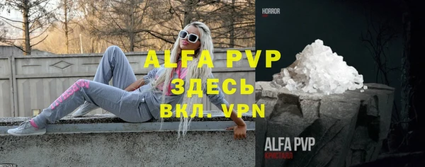 винт Алексин