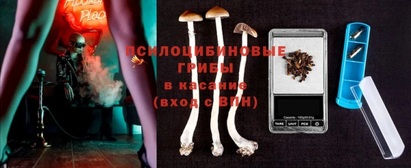 спиды Алзамай