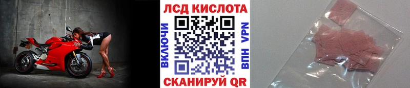 наркотики  Артём  Марки 25I-NBOMe 1500мкг 